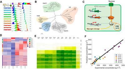 Editorial: Metabolic engineering for bioresources and bioenergies production from microalgae